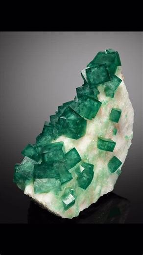 Laurent Thomas on Instagram: "Fluorite from Malaimbandy, Madagascar. Great example from that locality, with partly isolated cubes on a white matrix, and very sensitive to Uv's , showing then a natural purple surface layer in some daylight conditions. . . . #fluorite #madagascarminerals #madagascarfluorite #tucsongemshow #mineralcityshow #mineralcollection #mineralcollector"