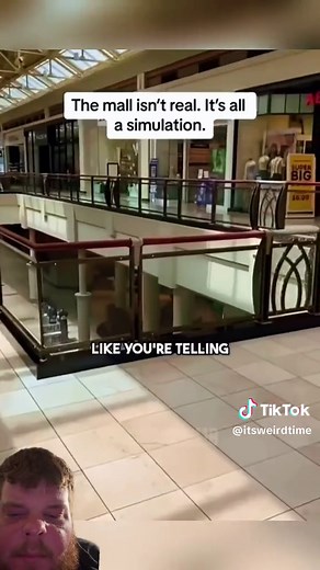 The Truth Behind The Mall Simulation Revealed