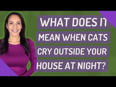 What does it mean when cats cry outside your house at night?