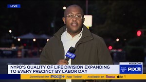 NYPD's quality of life teams to expand to Manhattan precincts: reports