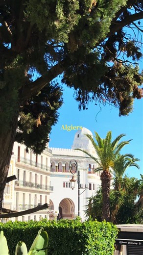 Découverte d'Alger en Janvier 2026