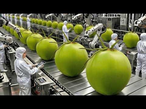 Modern Factory Processes Turning Fresh Green Coconuts Into Premium Coconut Water | Full Process