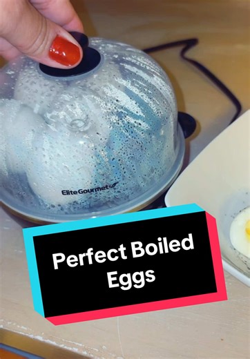 Elite Gourmet Egg Cooker: Perfect Boiled Eggs in Minutes
