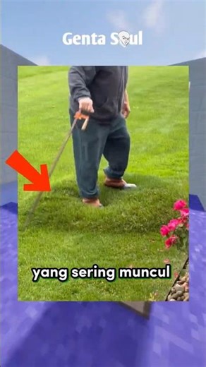 The secret of the soft lumps in the lawn!!