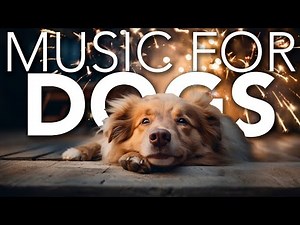 Bonfire Night Dog Music: Relaxing Sounds for Fireworks Anxiety!