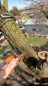 Plunge Cut To Avoid A Barberchair 🪵 #logger #logging #chainsaw #arborist #stihl #treework #treelife #treecutting #loggers #stihlchainsaw #husqvarna #arblife #treecare #loggerlife #treesurgeon #forestry #treefelling #arboristlife #treeclimber #treeclimbing #treeservice #treeremoval #lumberjack #timberfaller #arboriculture #arboristsofinstagram #arborists #axe #treeworker | Tree “B” Gone