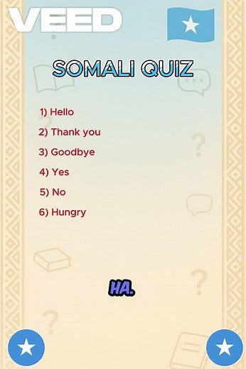 Can You Pass This Somali Language Quiz? 🇸🇴🔥 | Learn Somali Fast! #somalia #somalitiktok