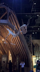 Harry Potter Tokyo Studio Tour 🪄 Set & Prop Design Secrets Pt.4