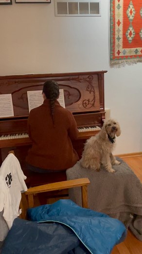 2.6K views · 207 reactions | Our dog Teddy loves to sit on the piano bench as Zebby plays the piano. It is a wonderful way to improve hand coordination and strength. Wonderful for neuroplasticity. Are you doing any music? Any new hand skills? | Terry Wahls MD | Facebook