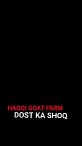 Ma Sha Allah Subhan Allah Kya Color Hai 🥰 Haqqi Goat Farm #reelsindia #foryoupageシ #reelsviralシ #fypシ゚viralシ #fypシ゚ #trend #reelstrending #sheep #500k #goatsarefamily #turkey #fbreels #trendingnow #reelkarofeelkaro #virals #love #reelsfypシ #viralshorts #trendingreels #pets #instareels #reelschallenge #reelsviral #reelitfeelit #funny #trendingsongs #beauty #cute #instagood #instagram | Haqqi Goat Farm