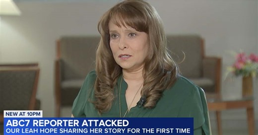 ABC7 reporter speaks out after violent carjacking attack in the Loop: 'We need to do more' - CWB Chicago