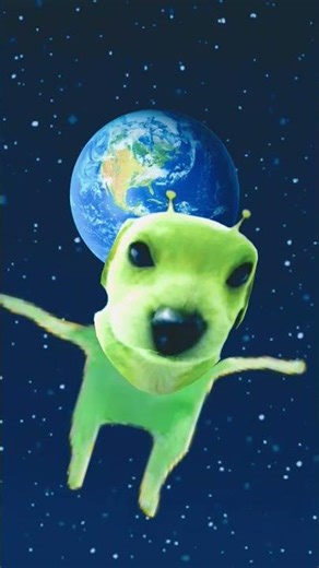 alien dog try it,so good