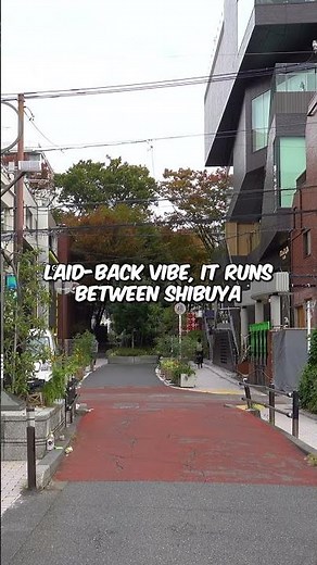 TOUR OF THE SECRET CAT STREET IN TOKYO - Visiting Harajuku