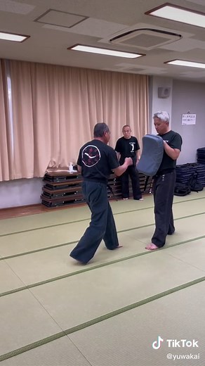Martial Arts Training Techniques in a Dojo