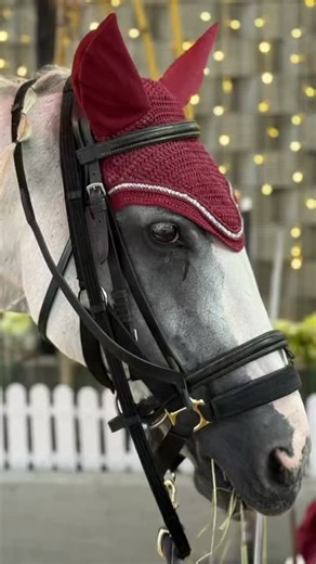 Meet Supernova the White Stallion up close at Wisma Wah Chan 🐎✨ 🐴 Purchase the Eight Galloping Stallions Gold Bar 🏇 Enjoy a FREE ride with Supernova the White Stallion 📸 You can take photos with Supernova too! 📍 Wisma Wah Chan, PJ 🗓 Every Saturday | ⏰ 2PM–6PM ⚠️ Limited time · Limited quantities 👉 bit.ly/m/WahChanJewellery 趁这周六来到华珍总行和Supernova白马一起近距离合影吧！ 🐎凡购买華珍马踏黄金八骏马🐎足金金条或金币，即可参与骑马迎财活动！ 🗓 每逢星期六 ⏰ 2:00 PM – 6:00 PM 📍 華珍总行 · Wisma Wah Chan, Petaling Jaya 📍 全国華珍门店同步发售 📲 欢迎联系我们了解详情 👉 