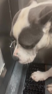 7.3K views · 145 reactions | ✔️❤️ So happy to say "MICK WAS...