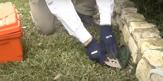 Termite Control | San Antonio, TX | ABC Home & Commercial Services