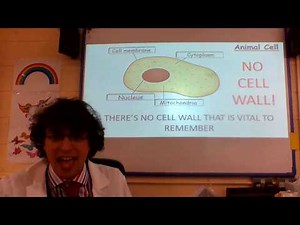 Animal cell structures song