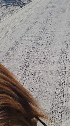 Rebecca Clark on Reels