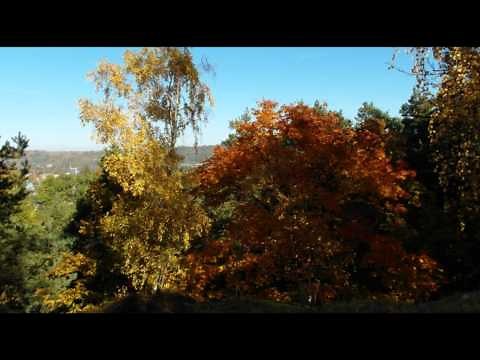 MAREK GRECHUTA - KRAJOBRAZ PEŁEN NADZIEI - PAMIĘCI WIERSZY