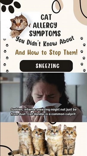 🐾Cat Allergy Symptoms You Didn’t Know About (And How to Stop Them!)
