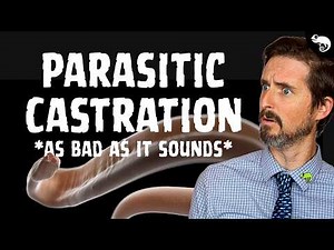Animal Sex Can Be Absolutely Horrifying!