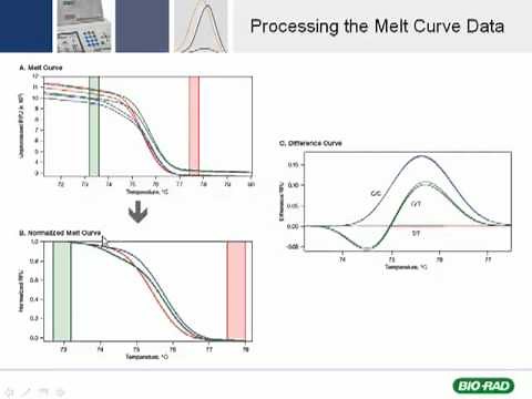 High Resolution Melt Analysis Tutorial