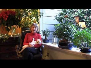 Whats In the Way 3 Mary O'Malley's Story