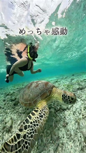 25年下半期✈️行って感動した海外の絶景を5つ紹介