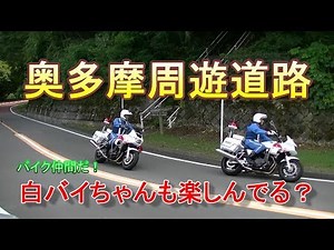 奥多摩周遊道路 白バイ隊員も楽しんでる？「バイク」