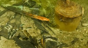 1.5K views | An extraordinary archaeological find has surfaced from...