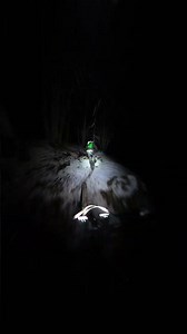 GoPro | High-Speed MTB Night Ride with Crash 🎬 Giulio Coglitore #Shorts #MTB