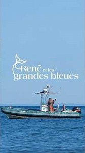 In Search of Blue Whales