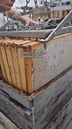 Hydrolic frame lifter for extraction #beesdakcanada | Beesdak Canada