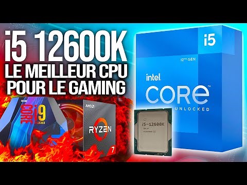 Intel i5 12600K: The Ryzen 7 and Core i9 Killer!