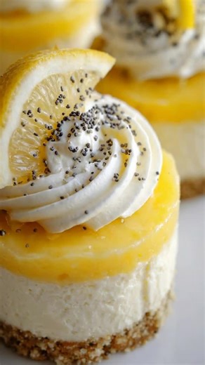 Delicious Mini Lemon Poppy Seed Cheesecakes