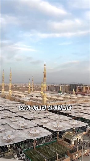 세상에서 가장 거대한 우산