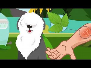 How to use Tecnu Original on your pets