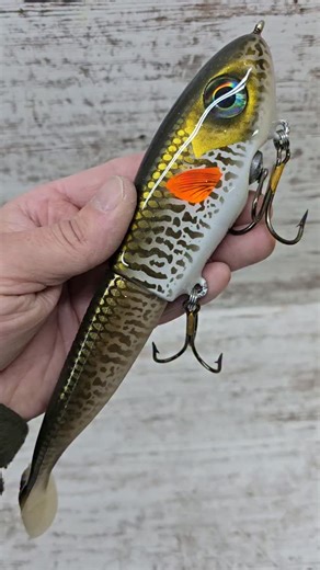 Todays Angler on Instagram: "The Lee Lures 8" Pelagic Swim in Musky color is proof musky do eat their young! Check them out this weekend at the Chicago Musky Expo!!🔥 #musky #muskyfishing #muskiefishing #leelures #handmadelures"