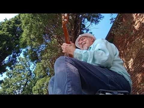 DESAFINADO Cover Claudio Romano