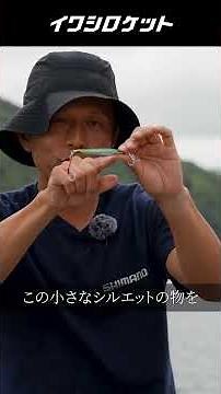 【圧倒的飛距離🚀】イワシロケット #shimanofishing #イワシロケット #コルトスナイパー #青物 #ショアジギング