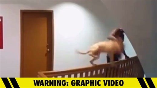 L.A. Man Arrested For Animal Cruelty After Dropping Puppy Down Stairwell