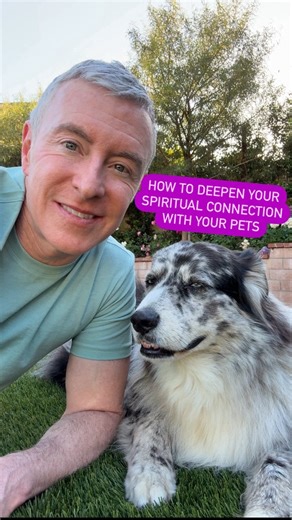 3.2K views · 13 reactions | How to Spiritually Connect with Your Pet...