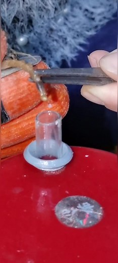 Do you know this gold liquid?#scorpion