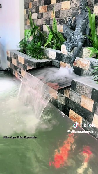 Dilan Aqua Point on TikTok