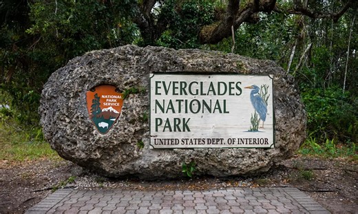 Cameras near Everglades capture unbelievable encounter between bobcat and python: 'That's a win for the home team'