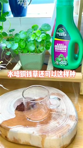 Mixing magic! ✨離 Just add water and watch the fun grow!  #DIYScience #FunExperiments | Ellyn Arvind | Facebook