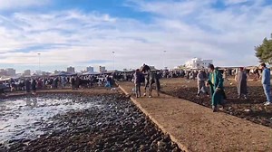 14K views · 596 reactions | سوق الثلاثاء الخميسات لوكان كان الصواب سائل ميكون حتا حد عايل الله ادير الخير | Abdelfetah boubekri | Facebook