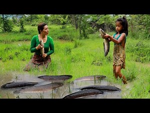 Mother with daughter catch big snakehead murrel fish for food of survival- Cooking eating delicious