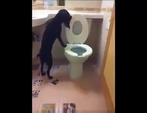 19K views · 419 reactions | I bet you've never seen anything like this before... | EPIC WEB | Facebook